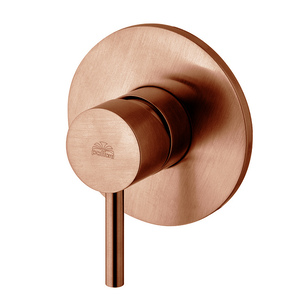 купить Змішувач для душу прихованого монтажу Paffoni Light, Brushed Copper (LIG011RMSP) недорого