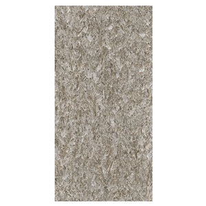 купить Керамограніт великоформатний Fiandre Selenite Maximum, Greige 300х150 Jewel 6мм (MSJ30061530) недорого